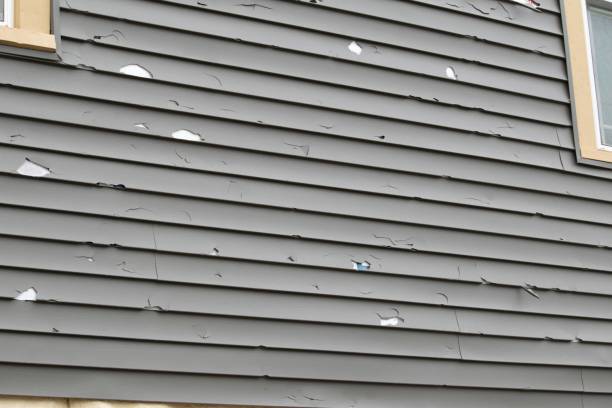Professional Siding Installation & Repair in Westport, NC